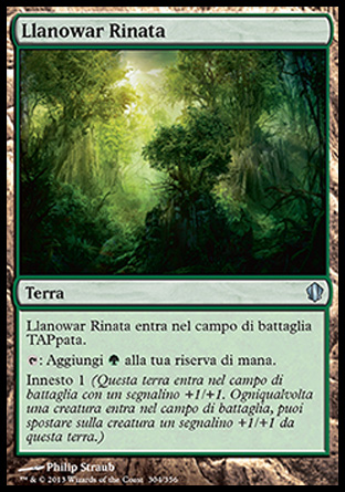 /prodotti/1/316/C13304.jpg