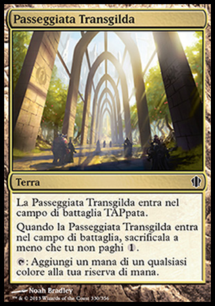 /prodotti/1/316/C13330.jpg