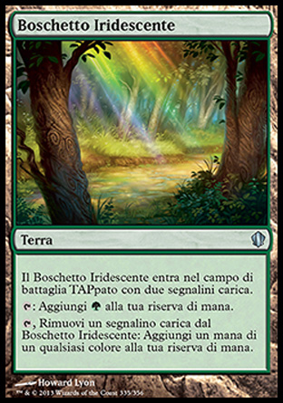 /prodotti/1/316/C13335.jpg
