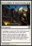 Nascondiglio di Sopravvivenza