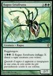 Ragno Setafrusta