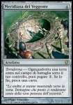 Meridiana del Veggente