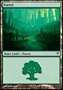 Foresta (V.1)