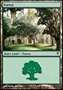 Foresta (V.2)