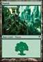 Foresta (V.5)