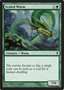 Wurm Squamato