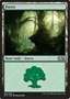 Foresta