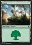 Foresta