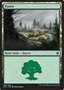 Foresta