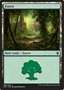 Foresta