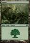 Foresta