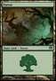 Foresta