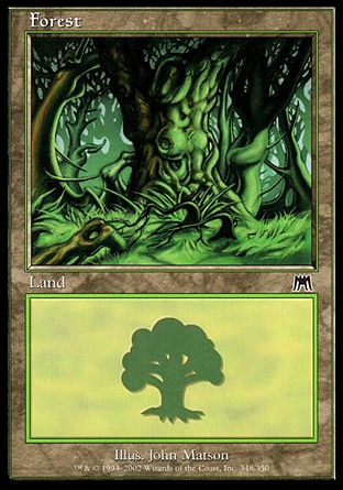 /prodotti/1/34/Forest.jpg