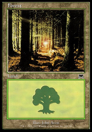 /prodotti/1/34/Forest2.jpg