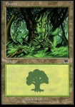 Foresta (V.2)