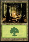 Foresta (V.3)