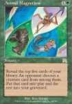 Magnetismo Animale