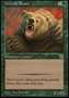 Orso Grizzly 