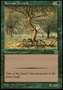 Rowan Treefolk
