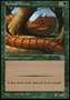 Wurm Spinato