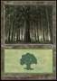 Foresta (V.1)