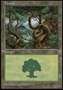 Foresta