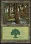 Foresta