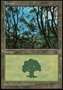Foresta