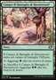 Campo di Battaglia di Havenwood