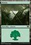 Foresta