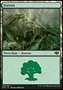 Foresta