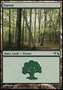 Foresta (V.7)