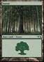 Foresta (V.8)
