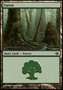 Foresta (V.6)