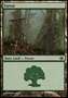 Foresta (V.3)