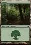 Foresta (V.2)