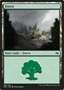 Foresta (V.1)