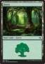Foresta (V.2)