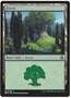 Foresta (V.1)