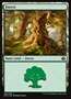 Foresta (V.3)