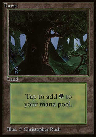 /prodotti/1/36/Forest2.jpg