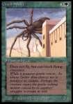 Ragno Gigante