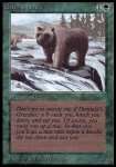 Orso Grizzly