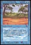 Terreno Illusorio