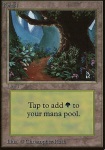 Foresta (V.2)