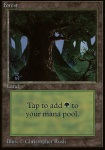 Foresta (V.3)
