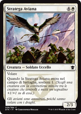 /prodotti/1/360/DTK006.jpg