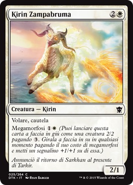 /prodotti/1/360/DTK025.jpg