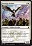 Stratega Aviana