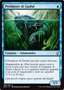 Predatore di Gudul